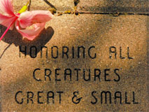 Honoring all Creatures Great & Small